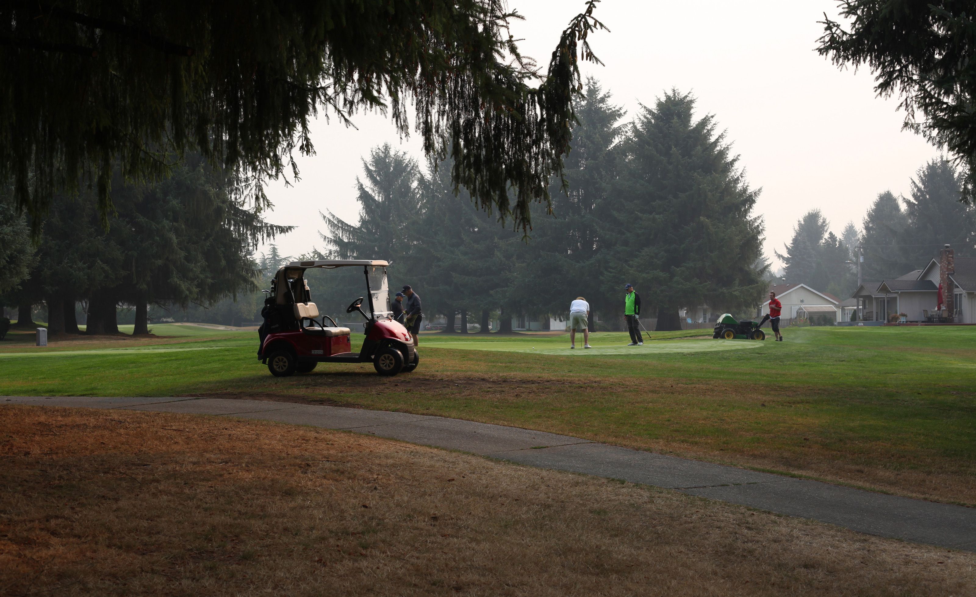 高尔夫费用〃八代高尔夫费用