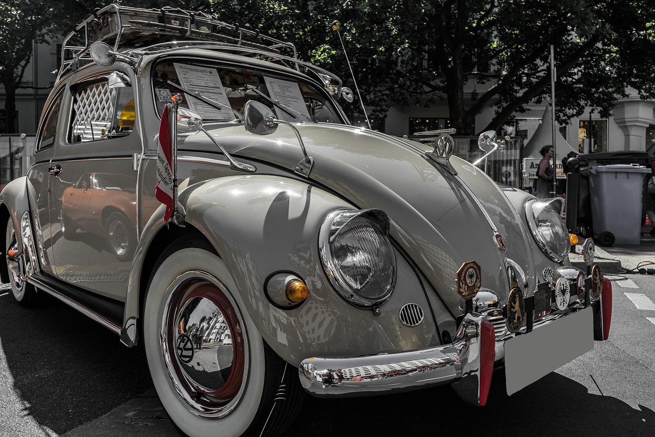本田思迪,本田思迪尺寸