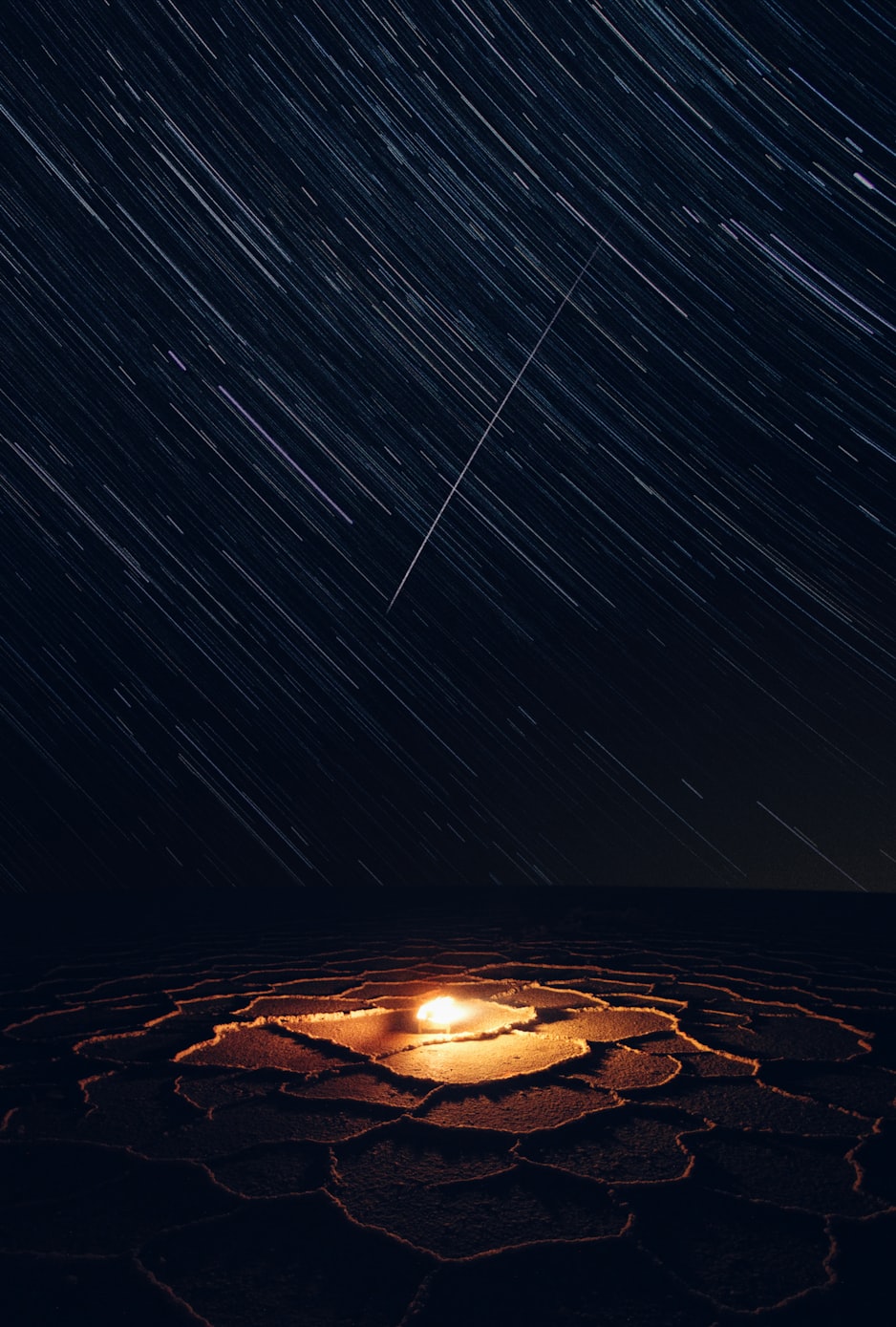 星光家族〃星光家族央视网 星光家族〃星光家族央视网