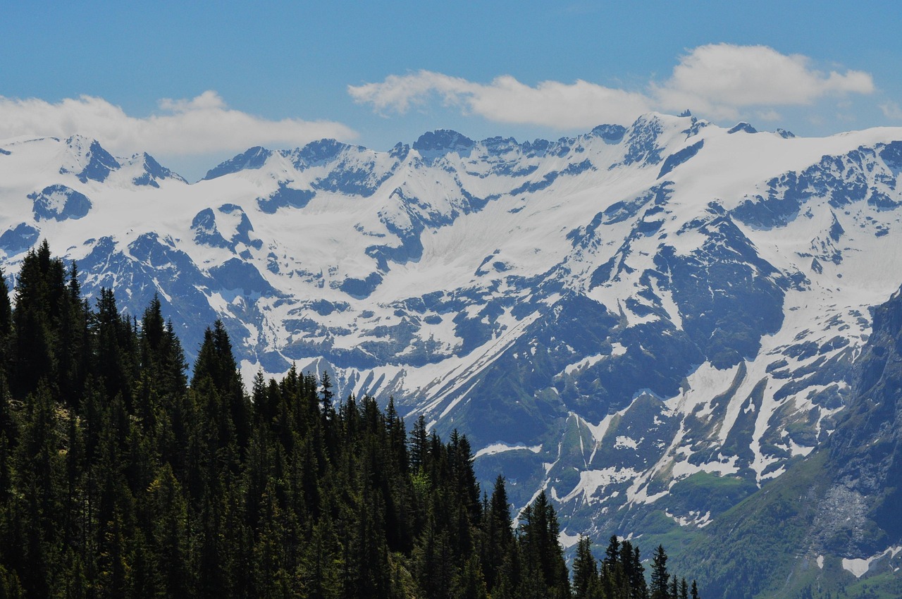 高山-高山的英文 高山-高山的英文