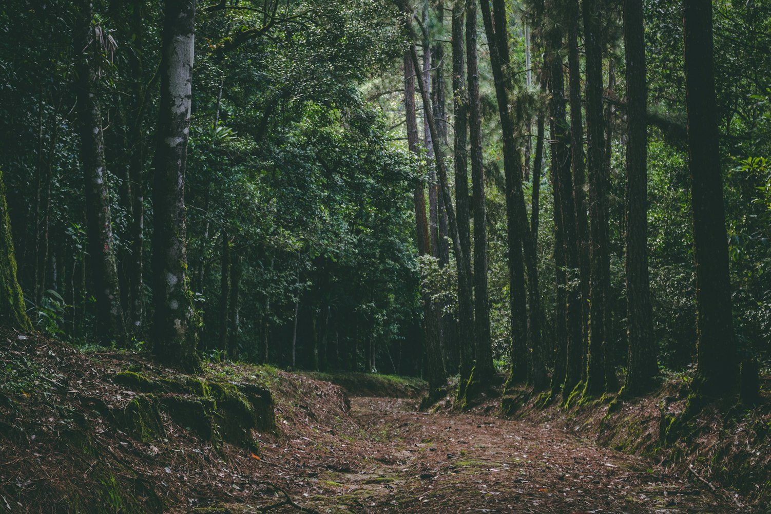 丛林越野,附近丛林越野 丛林越野,附近丛林越野