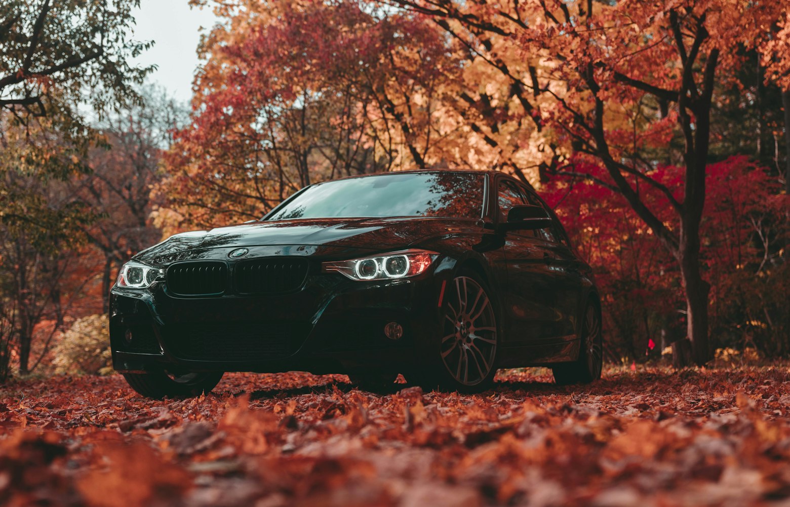 汽车之家2025最新大全(汽车之家2025最新大全及费用) 汽车之家2025最新大全(汽车之家2025最新大全及费用)
