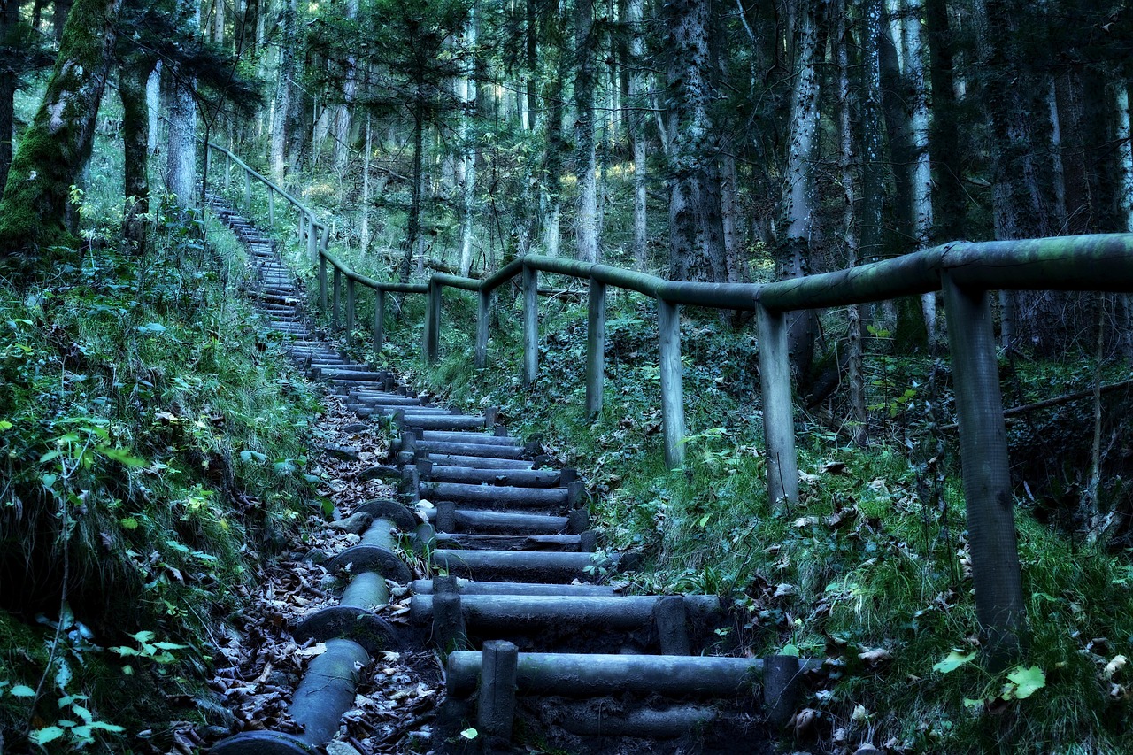 鹦鹉台风实时径路〃台风鹦鹉路径图