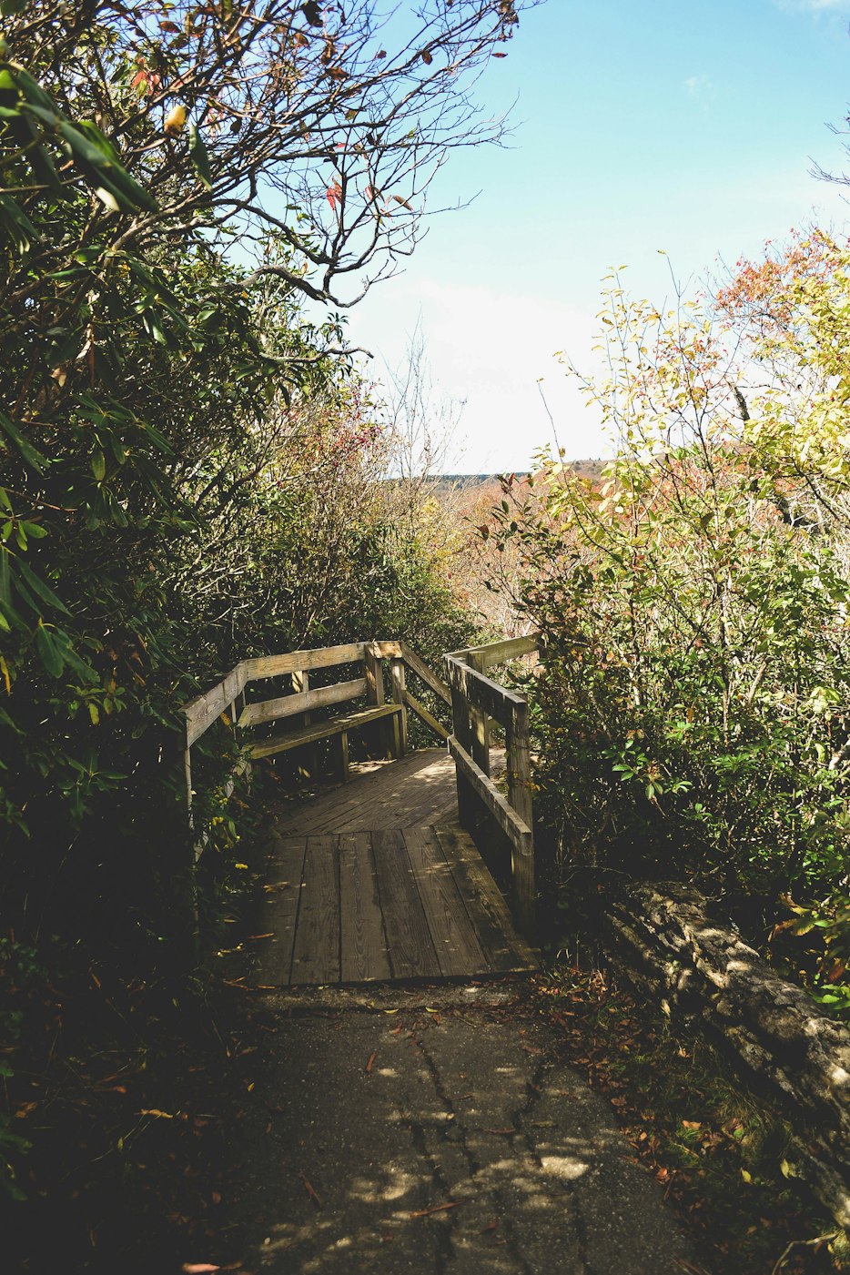 广州免费景点,广州免费景点怎么玩 广州免费景点,广州免费景点怎么玩