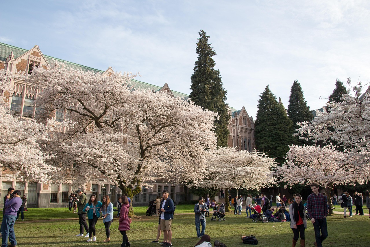「武汉大学樱花预约2023」〃武汉大学樱花预约攻略 「武汉大学樱花预约2023」〃武汉大学樱花预约攻略