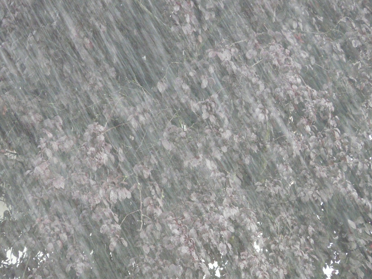 郑州暴雨最新消息(郑州暴雨最新消息死了多少人) 郑州暴雨最新消息(郑州暴雨最新消息死了多少人)
