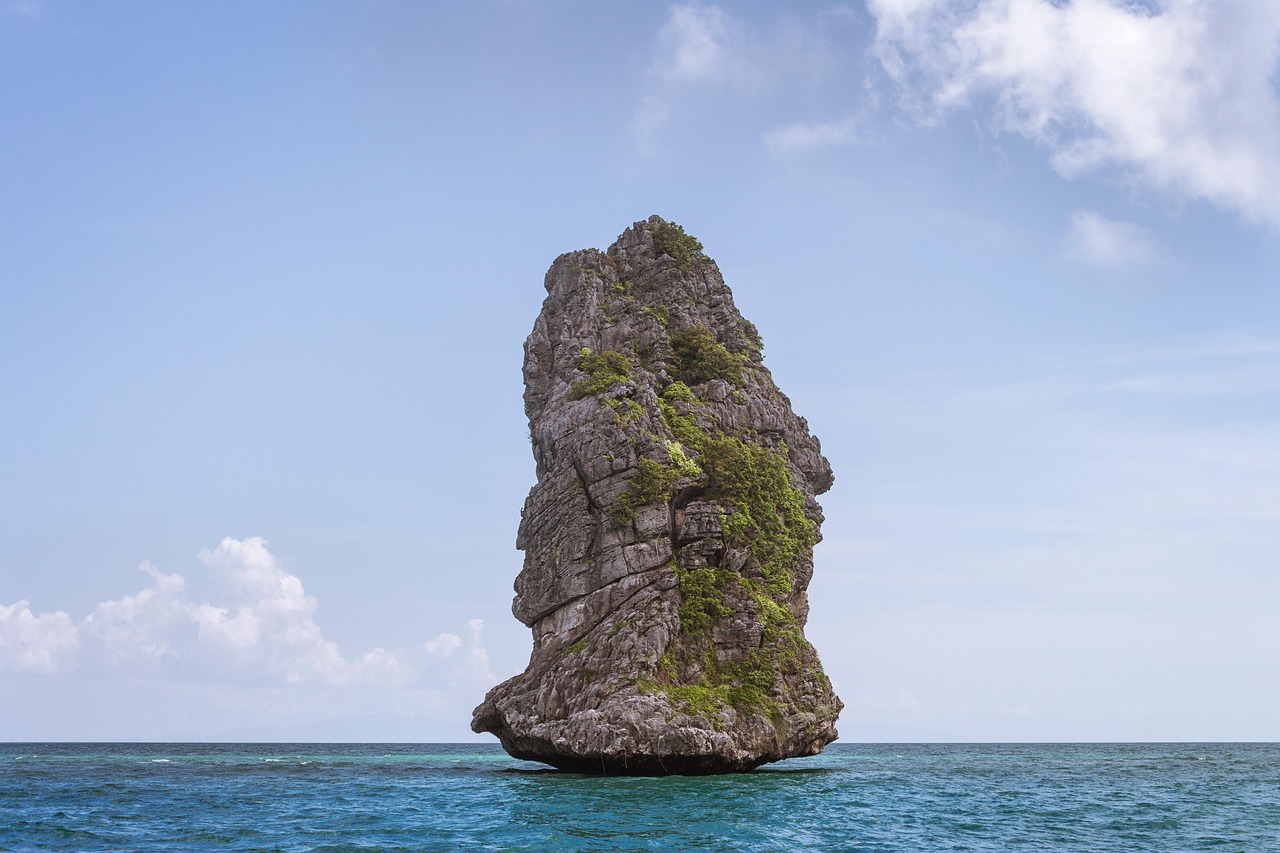 海洋公园门票团购〃海洋公园门票省钱技巧 海洋公园门票团购〃海洋公园门票省钱技巧
